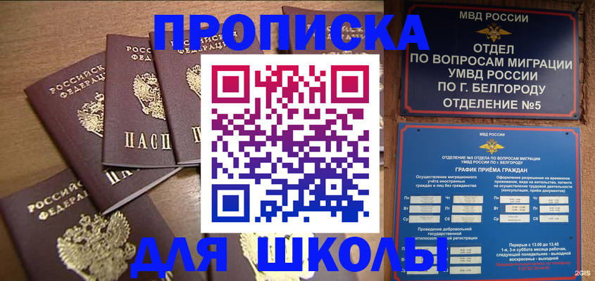 прописка гарантия в Дорогобуже